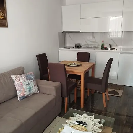 Apartment Andrejic Ostrovo